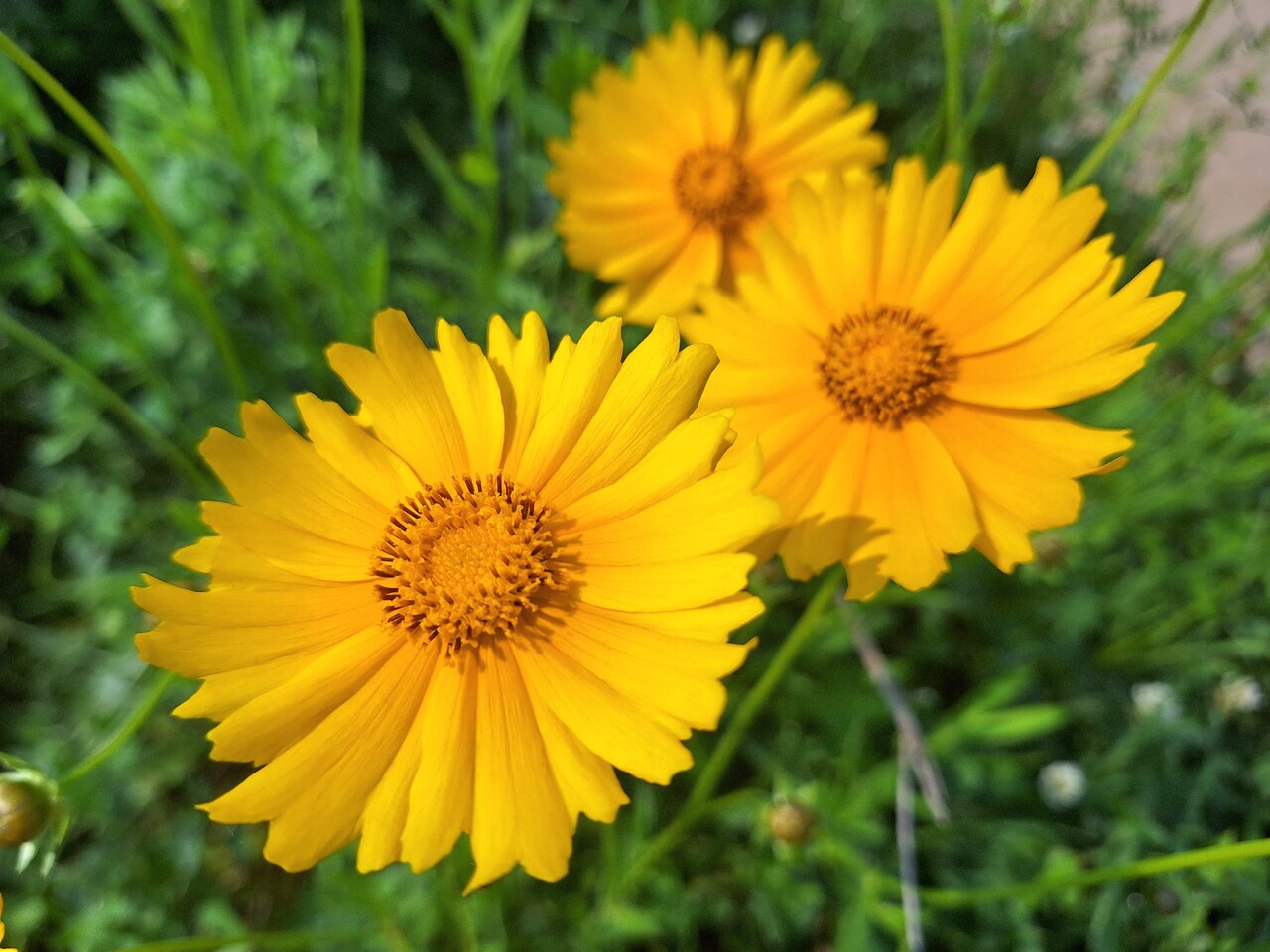 정말 감사합니다 < 문학 < 라이프 < 기사본문 - 프리진경제