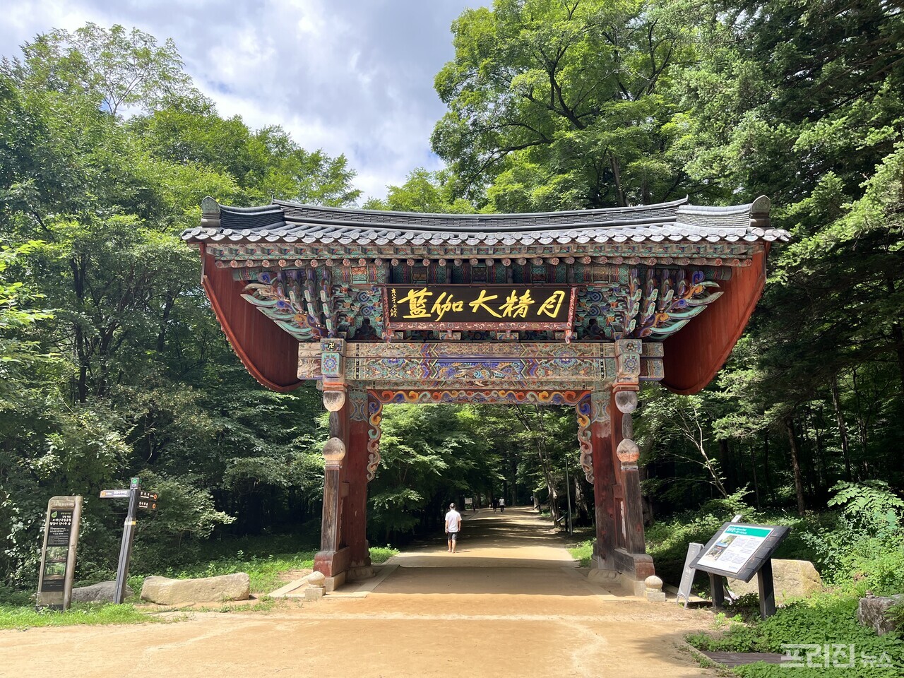 숲길이 건네는 쉼표, 평창 오대산 전나무숲길 < 에세이 < 라이프 < 기사본문 - 프리진경제