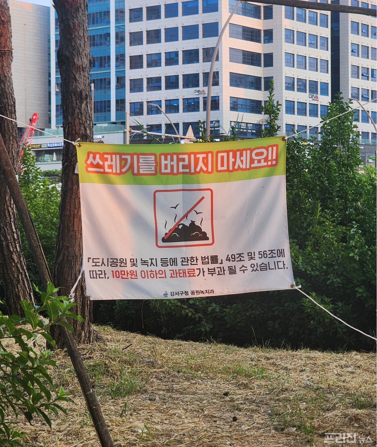 포토] 쓰레기 몸살 앓는 마곡역 쉼터...시민 의식 어디에?? < 갤러리 < 기사본문 - 프리진경제