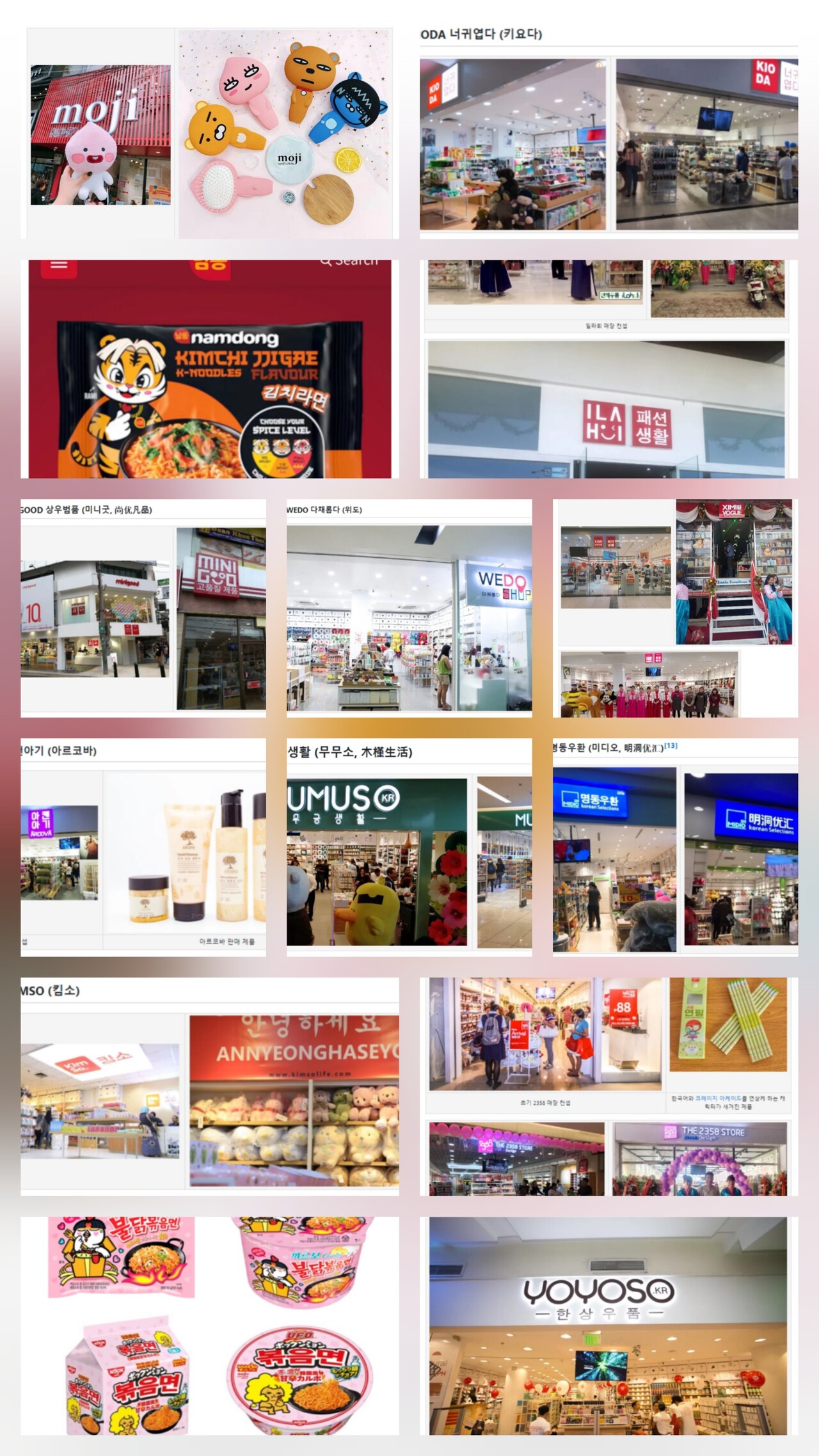 칼럼] K-브랜드 카피캣 만들어 돈 버는 중국… 정부 차원 대응 안하나? < 칼럼 < 오피니언 < 기사본문 - 프리진경제