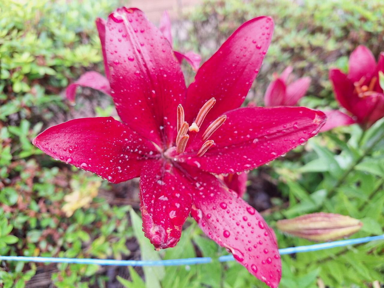 사실혼의 비참함 < 문학 < 라이프 < 기사본문 - 프리진경제